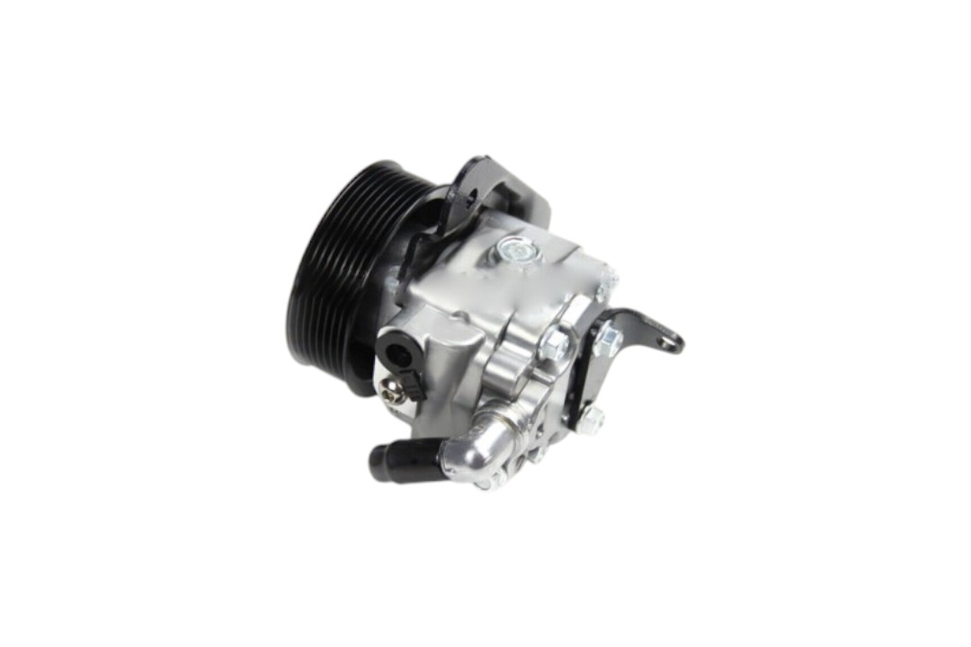DİREKSİYON POMPASI 3.6 RRS (LR009775) 